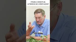 Живая кость: восстановление позвоночника и костей 🌿🦴#фитотерапия  #травы