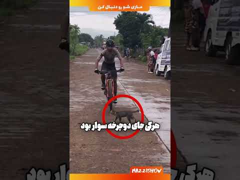 واکنش باورنکردنی دوچرخه سوار به گربه وسط مسابقه Smrty Ian