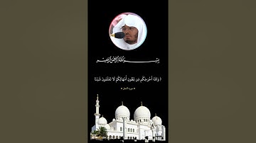وَاللَّهُ أَخْرَجَكُم مِّن بُطُونِ أُمَّهَاتِكُمْ لَا تَعْلَمُونَ شَيْئً _ سورة النحل _ياسر الدوسري