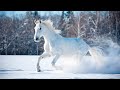 Beautiful Relaxing Music - Soothing &quot;Winter&#39;s Calm&quot; Melodies, Mindful and Peaceful Piano Music