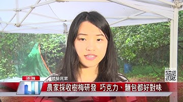 【關心基隆台北市政大小事＆快速掌握基隆市長林右昌∣台北市長柯文哲施政表現】中嘉新聞1090601  ＆最懂電視機上盒的數位玩家