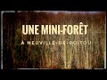 Ref:GkGPgP1DIO0 Une mini-for�t pour la r�silience urbaine � neuville-de-poitou
