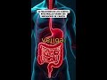 ¿Ignoras las señales de tu cuerpo? Esto es lo que debes saber sobre cambios intestinales.