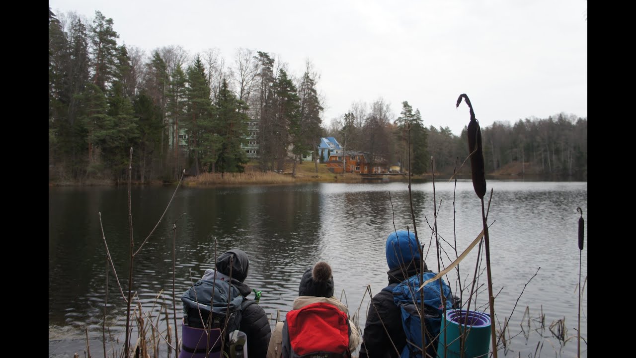 Осенний поход I в речку голыми ногами - YouTube