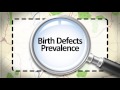 Birth Defects - Calculating Prevalence