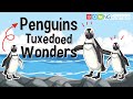 Penguin Characteristics and Adaptations