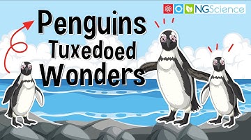 Penguins - Tuxedoed Wonders