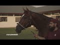 Bhupat Seemar on Laurel River and Some New Stable Stars!