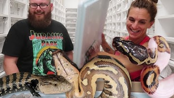 WOW!! UNBOXING SOME AMAZING SNAKES AND LIZARDS!! | BRIAN BARCZYK