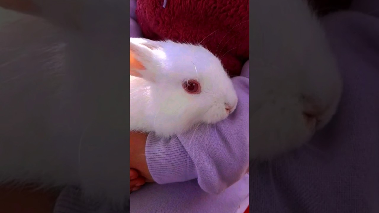 6 коротких рассказов с глубокими смыслами. 