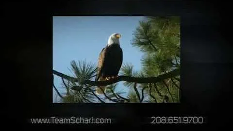 SOLD!  Coeur d'Alene Lake Views and Rockford Bay BOAT SLIP at 7520 W SANDERS RD