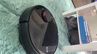 British shorthair blue Shelby and Xiaomi Mi Mop Pro 😂 cat review ❤️ let’s find out cat reaction🐈‍⬛ by British Shelby 24 views 2 years ago 1 minute, 3 seconds