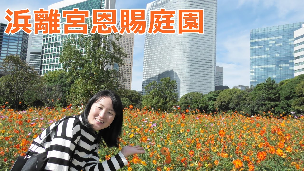 浜離宮恩賜庭園コスモス Cosmos Youtube