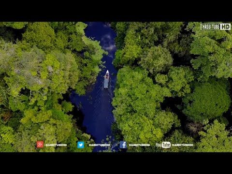 Video: Arah mana aliran sungai nil?