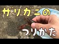 いきもの遊び ザリガニの釣り方 ザリガニの釣竿の作り方と釣り方 