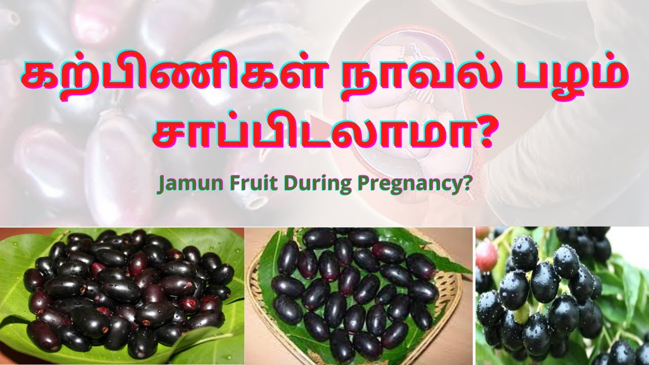 Is It Safe to Eat Jamun Fruit During Pregnancy நாவல் பழம் கர்ப்பிணி
