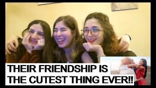 Download lagu MAMAMOO 마마무 STAR WIND FLOWER SUN 별 바람 꽃 태양 NON KPOP FAN REACTION MAMAMOO 마마무 STAR WIND FLOWER SUN 별 바람 꽃 태양 NON KPOP FAN REACTION