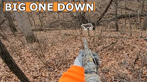 IOWA SHOTGUN DEER DRIVES DAY 4 2020