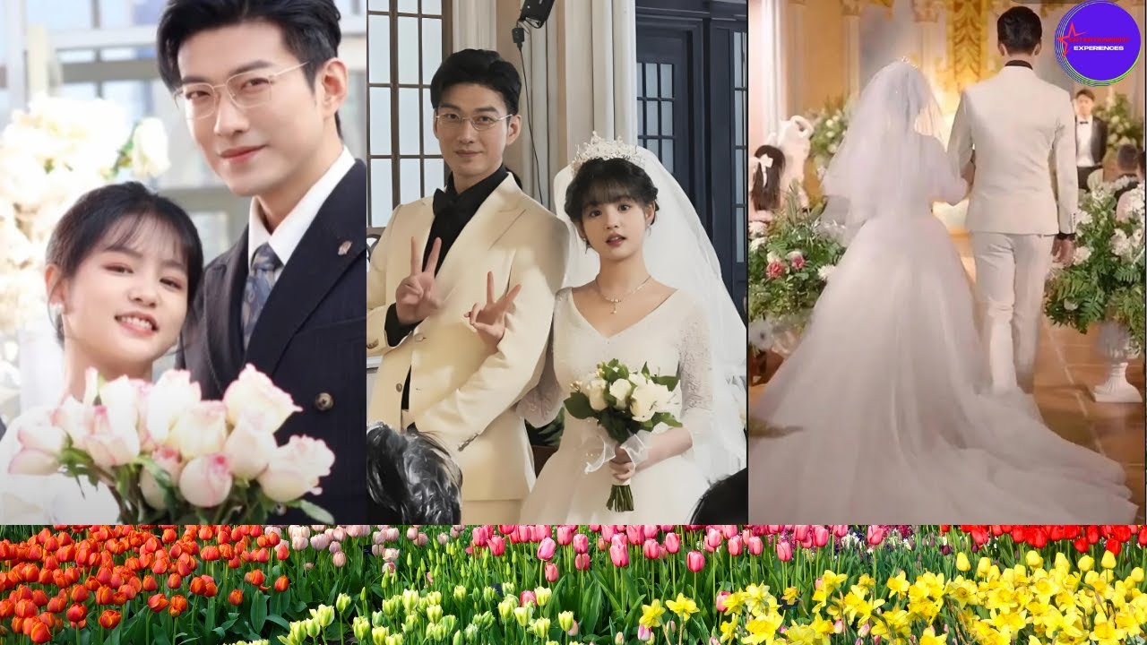 Настоящая любовь или идеальный пиар Объяснение свадебной утечки Юлун Ян Мими #Yulong #YangMiemie