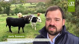 Virtual Vet Expo -  Oral Bolus Administration