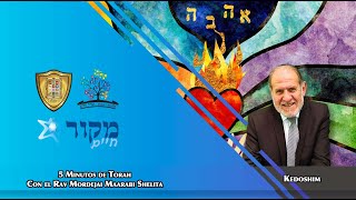 Estudio de Torah diario - Viernes 10 Mayo - Kedoshim Rav Mordejai Maarabi
