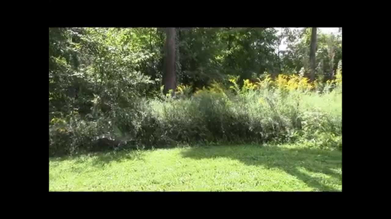 Home For Sale 6933 County Road 57, Mansfield (Johnsville) OH YouTube