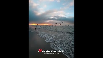 القران الكريم 604
