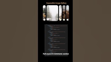 Expansible Image Gallery #shorts  #css #javascript