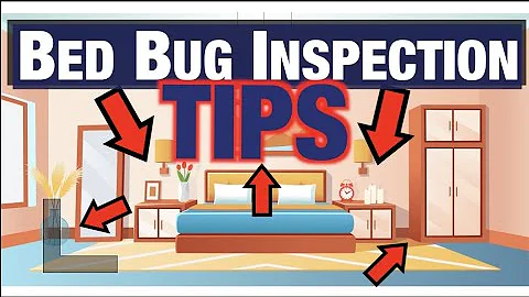 How To Inspect For Bed Bugs