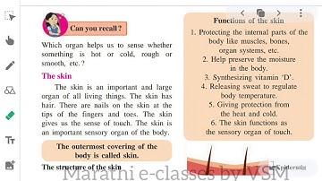 6th std, chapter 8,general science, skeletal system and skin, part 2 subject : science