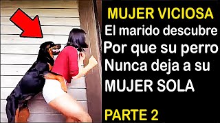 Perro se negaba a bajar sobre la mujer el marido descubre la razón y llama a la policía