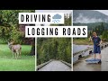 VANCOUVER ISLAND TRAVEL VLOG | Rainy Day Driving on LOGGING ROADS, BC, Canada 
