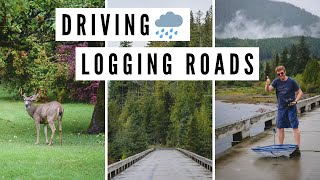 Come join us for this vancouver island travel vlog as we highlight our
journey driving on a rainy day taking detours loggings roads en route
from port ali...