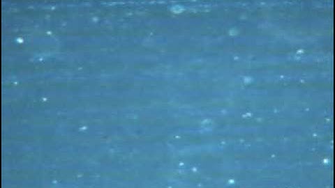 TiO2 in Aqueous  Solution