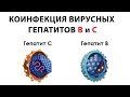 Коинфекция вирусных  гепатитов B и С