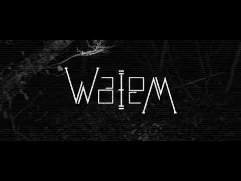 WaleM - Turbo Tonnerre ( Music Video )