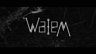 WaleM - Turbo Tonnerre ( Music Video )