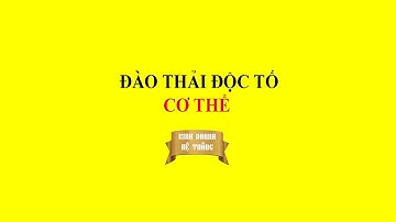 Đào thải độc tố cơ thể