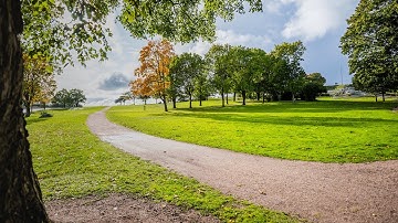 Webinar: Circular economy - from nice words to practice