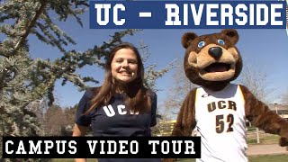 - official uc riverside campus video tour! see more college content at
https://youniversitytv.com try our match me quiz and which
universitie...
