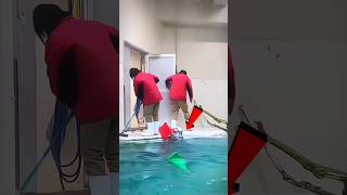 Seal Cleans Pool 😱