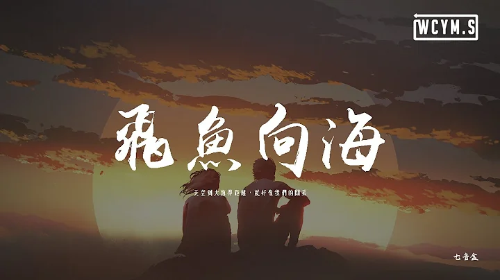 七音盒 - 飛魚向海「天空到大海得距離，就好像我們的關系」【動態歌詞/pīn yīn gē cí】 - 天天要聞