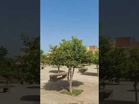 قرية عين عرمة الجميلة