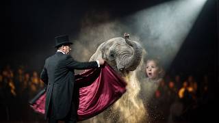 Best Animal Circus Acts of July