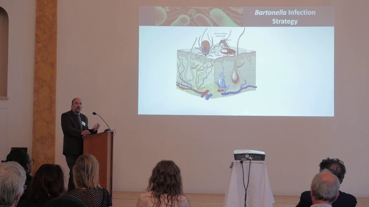 Bartonella in Chronic Infection, persistence and challenges of treatment - Dr. Ricardo G Maggi