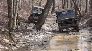 WWII Willys Jeeps OffRoad @ Dirty Turtle  Mud & Hill Climbing