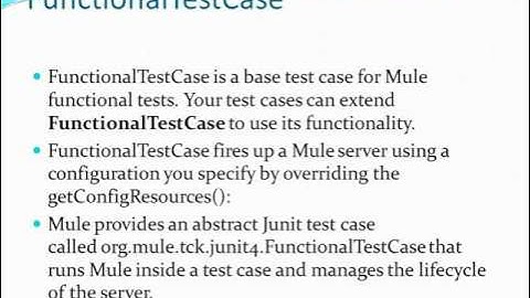 Introduction to Testing Mule