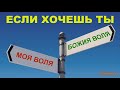 ЕСЛИ ХОЧЕШЬ ТЫ (Свидетельство)