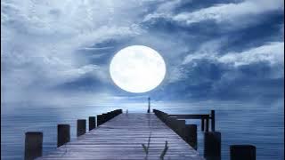 Beauty Girl ❤️ Italo Disco Korg Style ❤️  Mix Musis