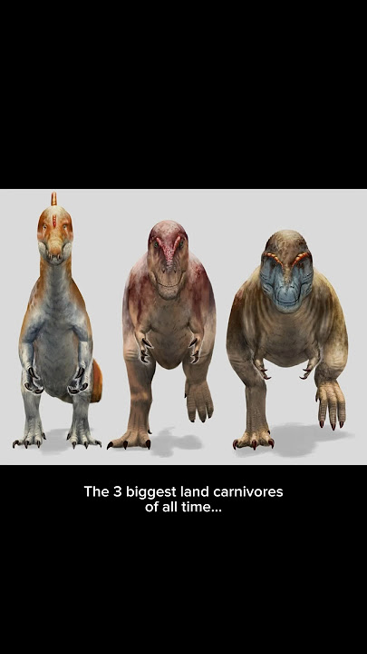 THE BIG 3🔥 #trex #spinosaurus #giganotosaurus #dinosaur #prehistoric #edit #thebig3 #tyrannosaurus